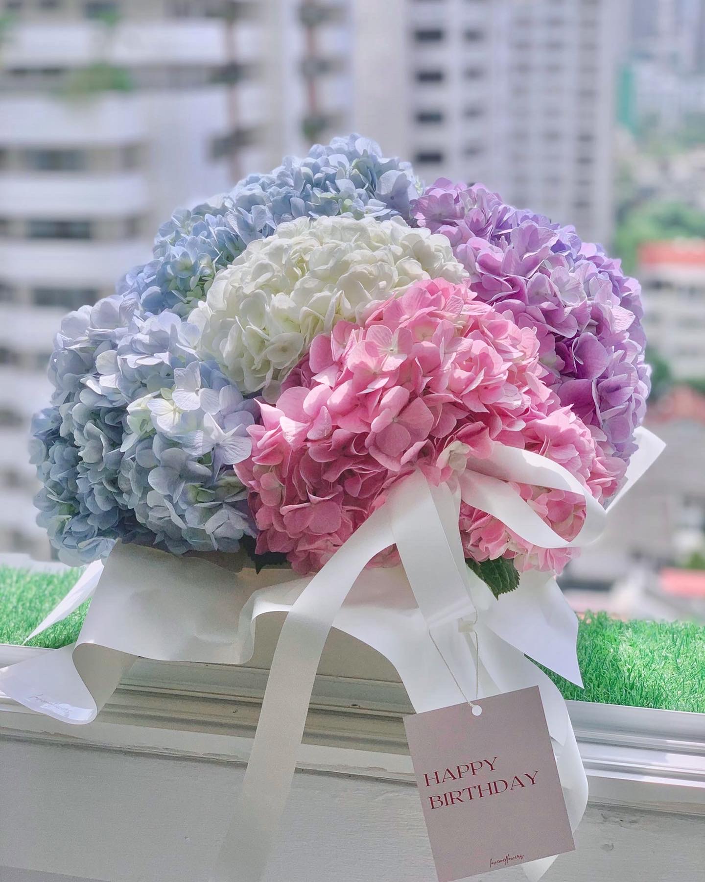 Rainbow (L) Hydrangea FlowerBox