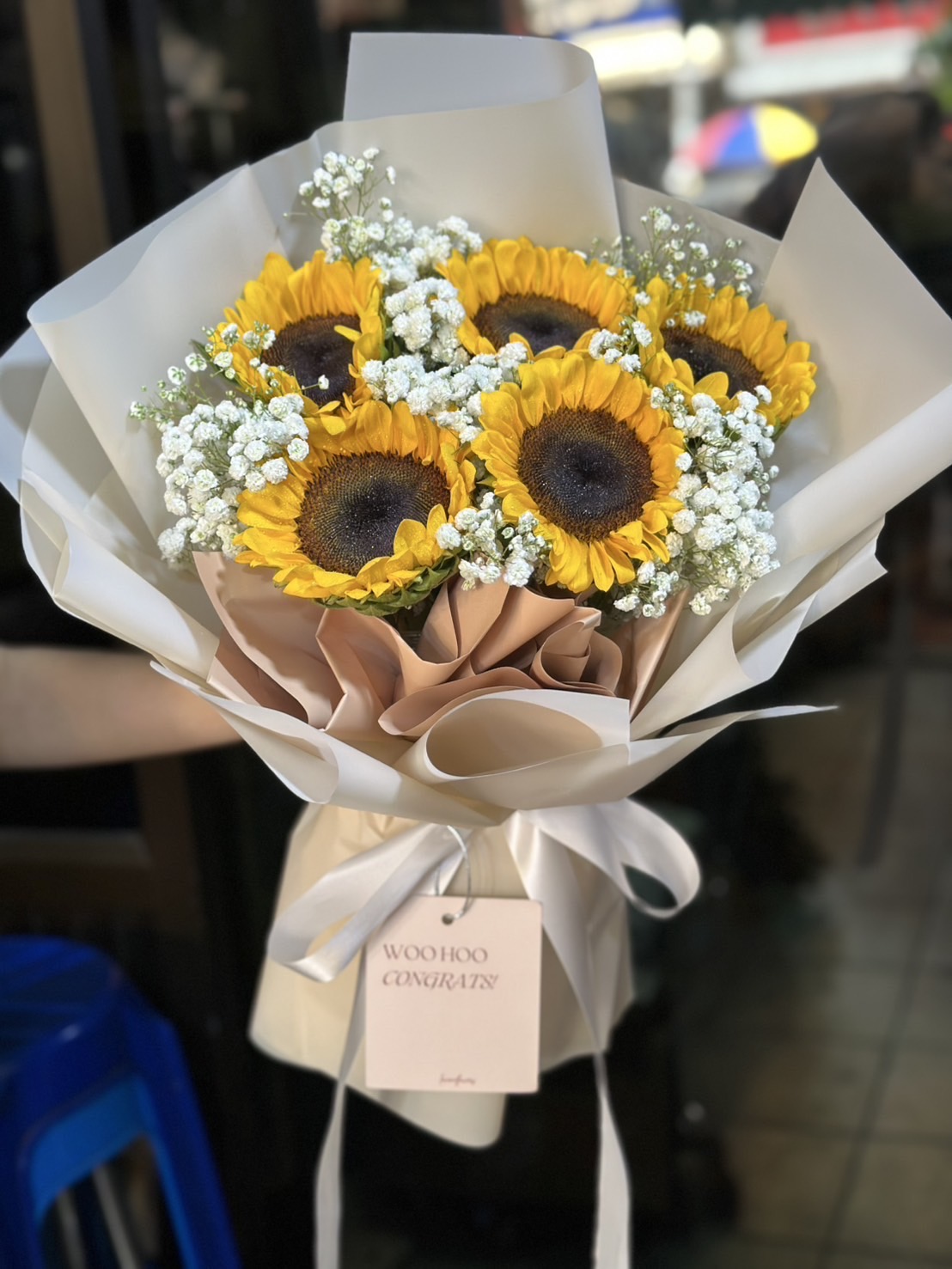 5 Sunflower with Gypsie - Image 2